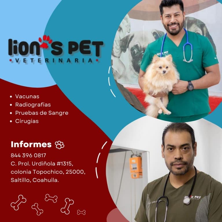 Personal de la veterinaria